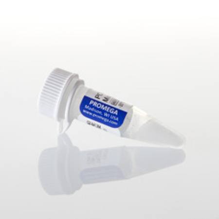 Buy PCR Nucleotide Mix, 25mM in NZ. 