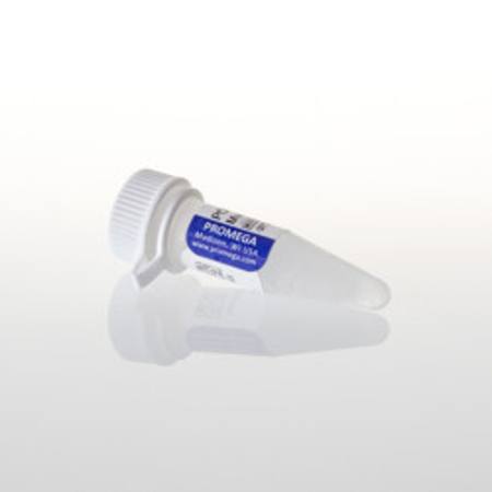 Buy PCR Nucleotide Mix, 25mM in NZ.