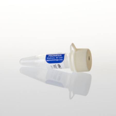 Buy dNTP Mix, 10mM, 200ul in NZ.