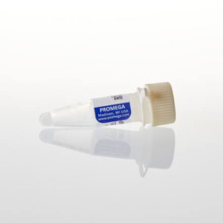 Buy dNTP Mix, 10mM, 1000ul in NZ. 