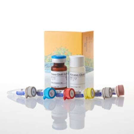 Buy PDE-Glo(TM) Phosphodiesterase Assay, 1000 Assays in NZ.