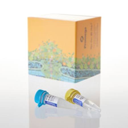 Buy PI3K (p110alpha [H1047R]/p85alpha), 20ug in NZ. 