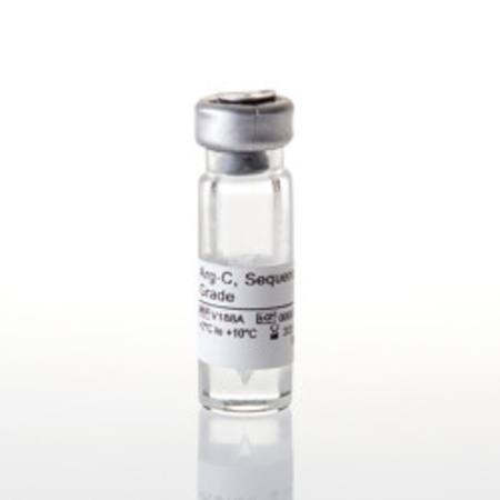 Buy Arg-C, Sequencing Grade, 10ug in NZ.