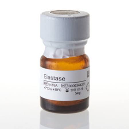 Buy Elastase, 5mg in NZ.