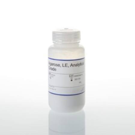 Buy Agarose, LE, Analytical Grade, 100g in NZ. 