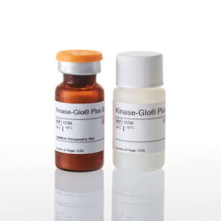 Buy Kinase-Glo(R) Plus Luminescent Kinase Assay, 10ml in NZ.