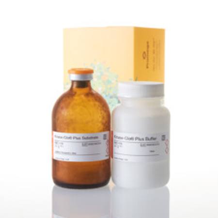Buy Kinase-Glo(R) Plus Luminescent Kinase Assay 100ml in NZ.