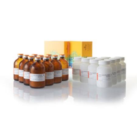 Buy Kinase-Glo(R) Plus Luminescent Kinase Assay 10 x 100ml in NZ.