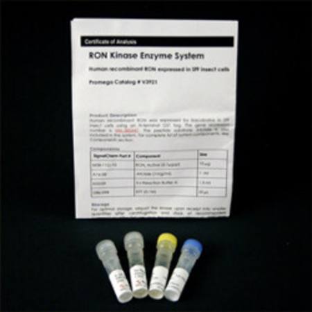 Buy RON Kinase Enzyme System in NZ. 