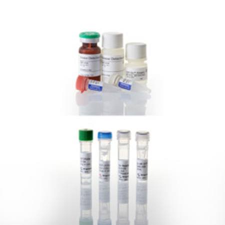 ADP-Glo(TM) Kinase Assay + ALK6 Kinase E