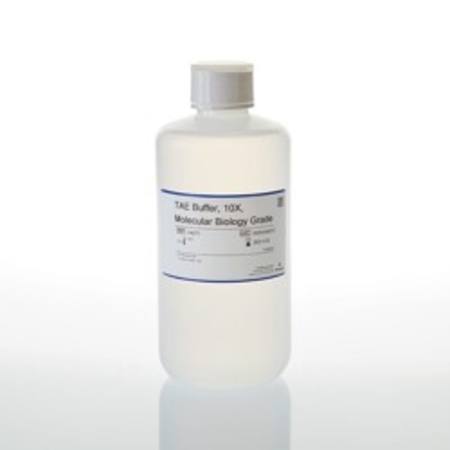 Buy TAE Buffer, 10X, 1000ml in NZ. 