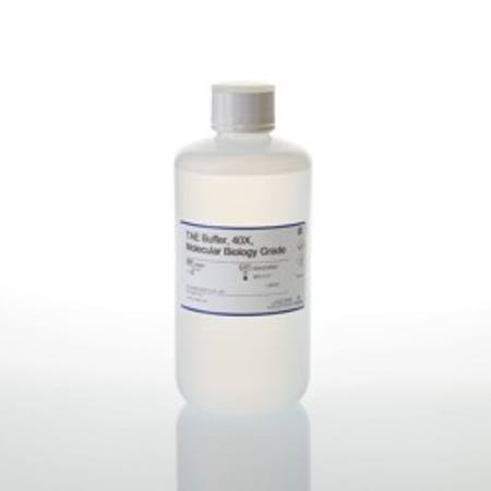 Buy TAE, 40X (Tris-acetate-EDTA), 1000ml in NZ. 