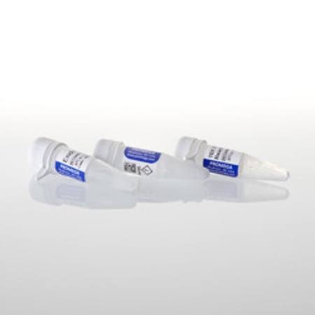 Buy Endo H in NZ.
