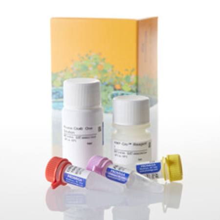 Buy AMP-Glo(TM) Assay, 1000 Assays in NZ.