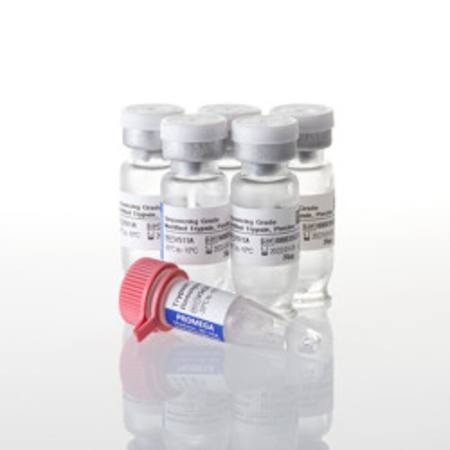 Buy Seq Grade Modified Trypsin, 100ug (5 x 20ug) in NZ.