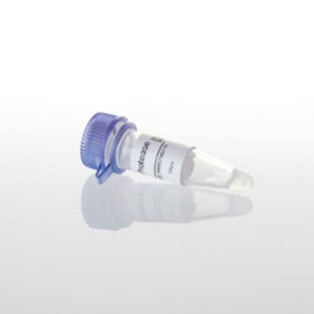 Buy Factor Xa Protease, 50ug in NZ.