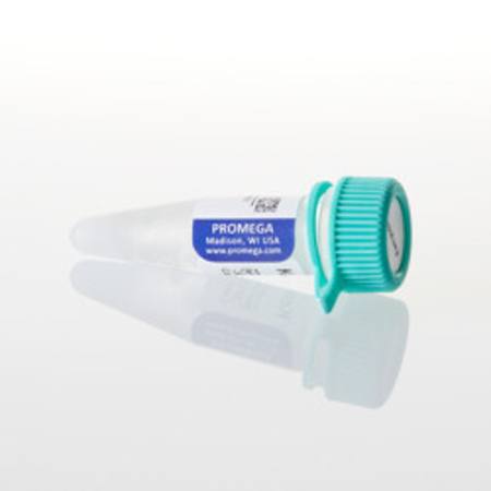 Buy Kemptide (PKA) Peptide Substrate, 1mg in NZ. 