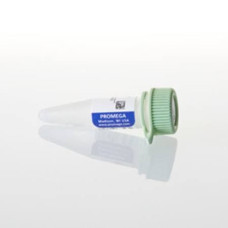 Buy DNA-Dependent Protein Kinase Peptide Substrate, 1mg in NZ.