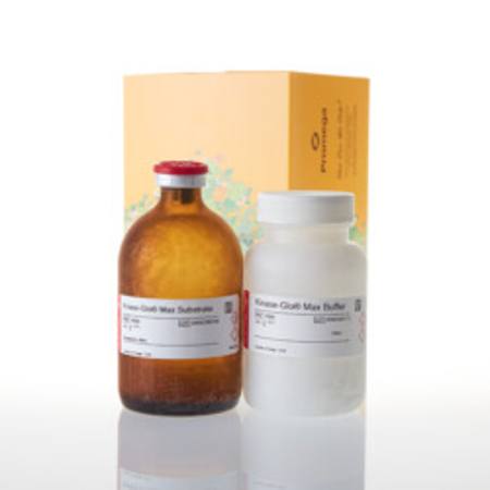 Buy Kinase-Glo(R) Max Luminescent Kinase Assay, 100ml in NZ.