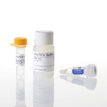 Buy ProTEV Plus, 5u/ul, 8000u in NZ.
