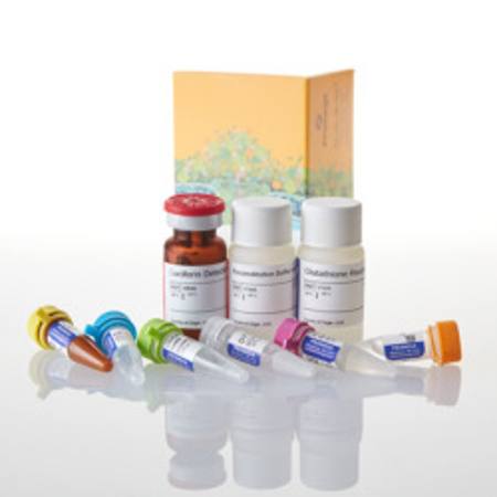 Buy GSH/GSSG-Glo(TM) Assay, 10ml in NZ. 