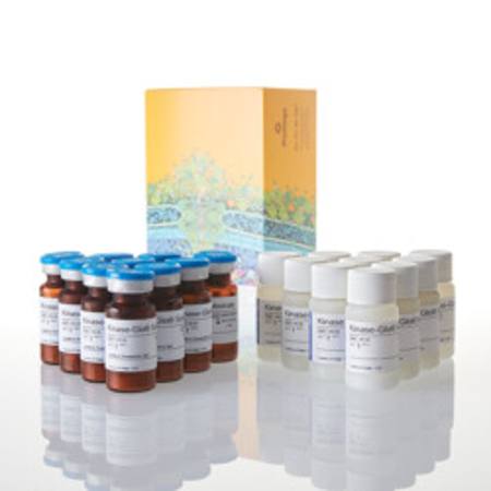 Buy Kinase-Glo(R) Luminescent Kinase Assay, 10 X 10ml in NZ.