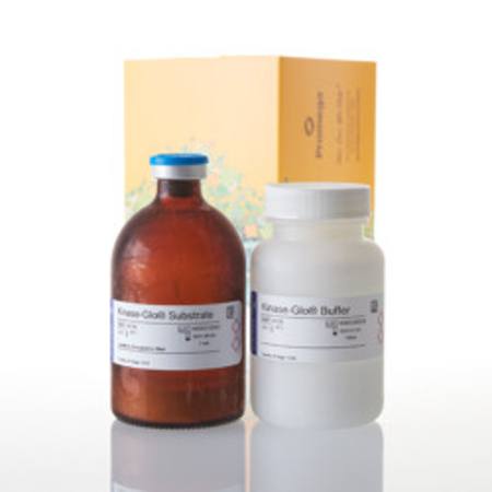 Buy Kinase-Glo(R) Luminescent Kinase Assay, 100ml in NZ.