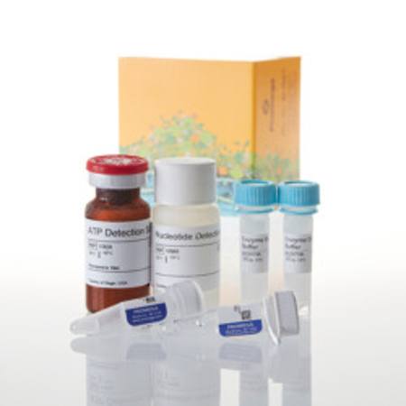 UDP-Glo(TM) Glycosyltransferase Assay, 400 Assays