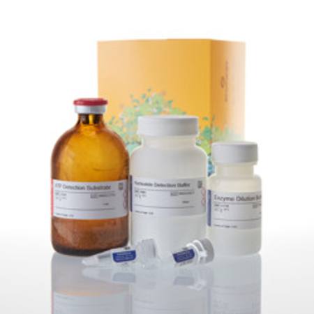 Buy UDP-Glo(TM) Glycosyltransferase Assay, 4,000 Assays in NZ. 