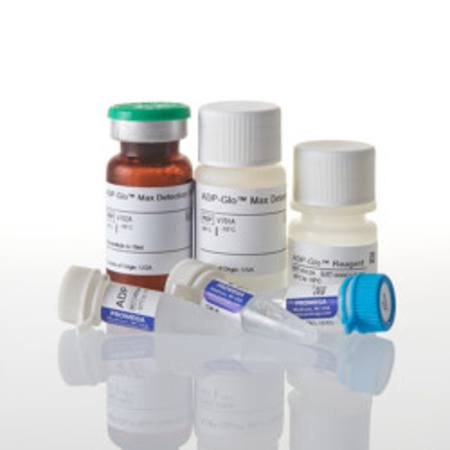 Buy ADP-Glo(TM) Max Assay, 1,000 Assays in NZ. 