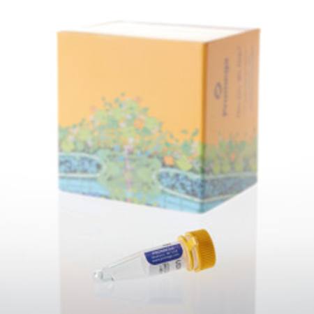 Buy UDP-Glc, 100mM, 50uL in NZ. 
