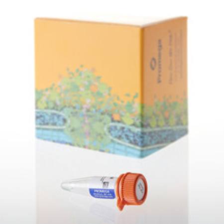 Buy UDP-Gal, 100mM, 50uL in NZ. 