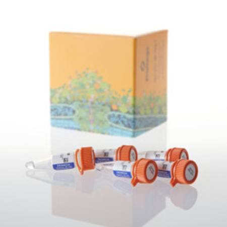 Buy UDP-Gal, 100mM, 250uL in NZ. 