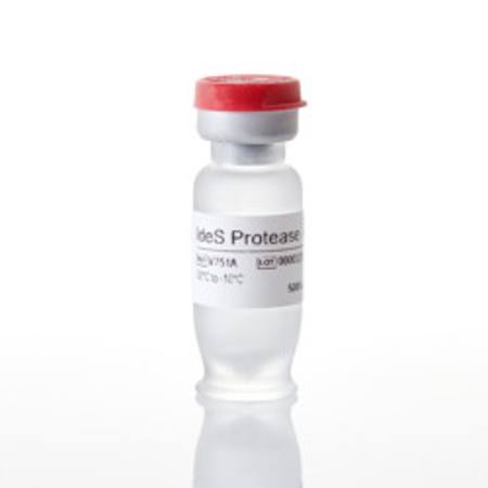 Buy IdeS Protease, 5000U in NZ. 