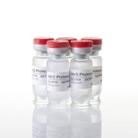 Buy IdeS Protease, 25000U in NZ.