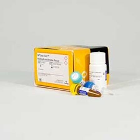 Buy MTase-Glo(TM) Methyltransferase Assay, 400 Assays in NZ.