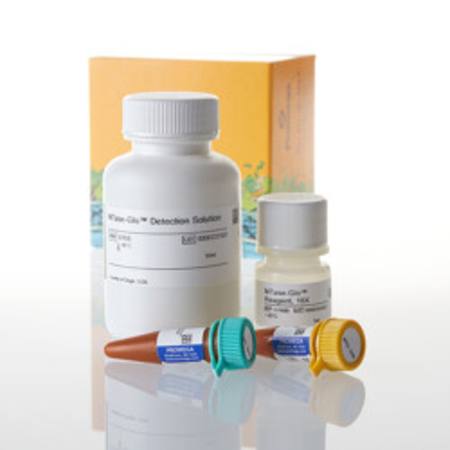 Buy MTase-Glo(TM) Methyltransferase Assay, 2,000 Assays in NZ.