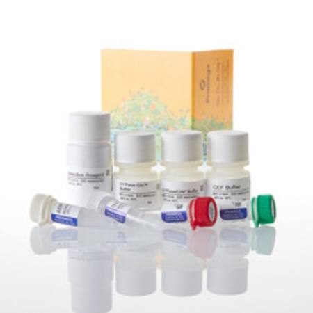Buy GTPase-Glo(TM) Assay, 1,000 Assays in NZ.