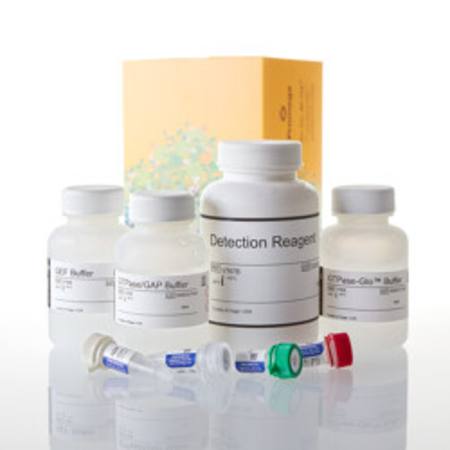 Buy GTPase-Glo(TM) Assay, 10,000 Assays in NZ. 