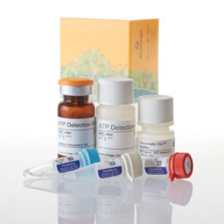 Buy Succinate-Glo(TM) JmjC Demeth/Hydro Assay, 1,000 assays in NZ.