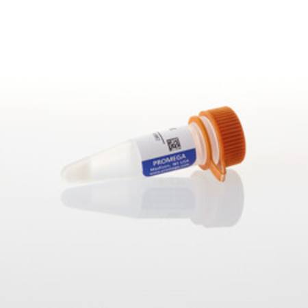 Buy Donkey Anti-Goat IgG HRP, 60ul in NZ.
