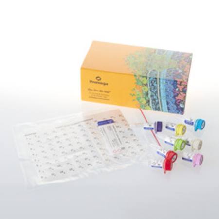 Buy SignaTECT(R) CaMKII Protein Kinase Assay System in NZ.