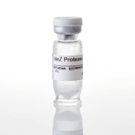 Buy IdeZ Protease, 5000U in NZ. 