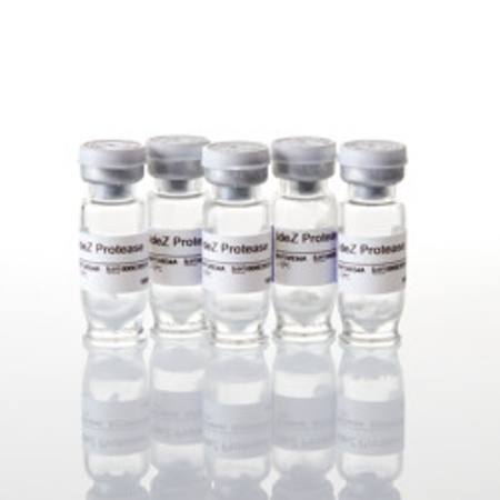 Buy IdeZ Protease, 25000U in NZ.