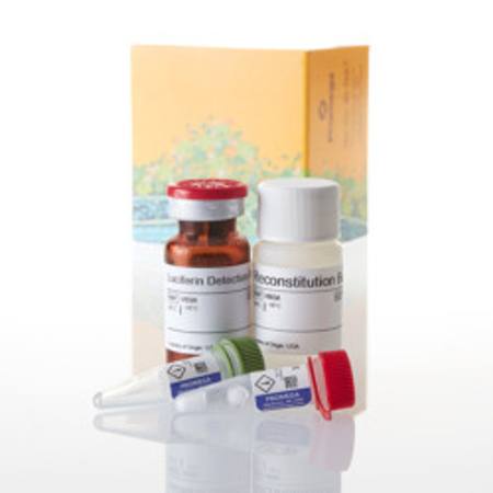 Buy P450-Glo(TM) CYP1A2 Induction/ Inhibition Assay, 10ml in NZ.