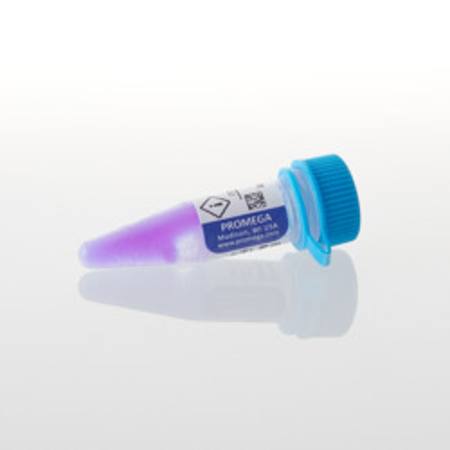 Buy Broad Range Protein Molecular Markers, 500ul in NZ.
