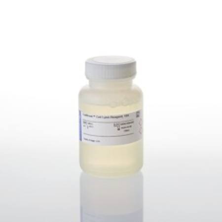 Buy FastBreak(TM) Cell Lysis Reagent, 10X, 100ml in NZ.