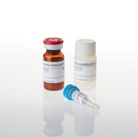 Buy P450-Glo(TM) CYP1A1 Assay, 10ml in NZ.