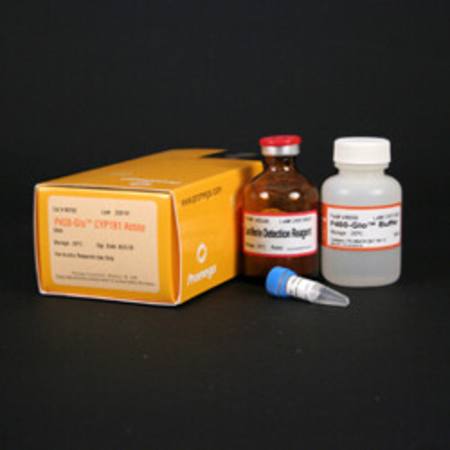 Buy P450-Glo(TM) CYP1B1 Assay, 50ml in NZ.