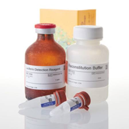 Buy P450-Glo(TM) CYP2C8 Assay, 50ml in NZ.